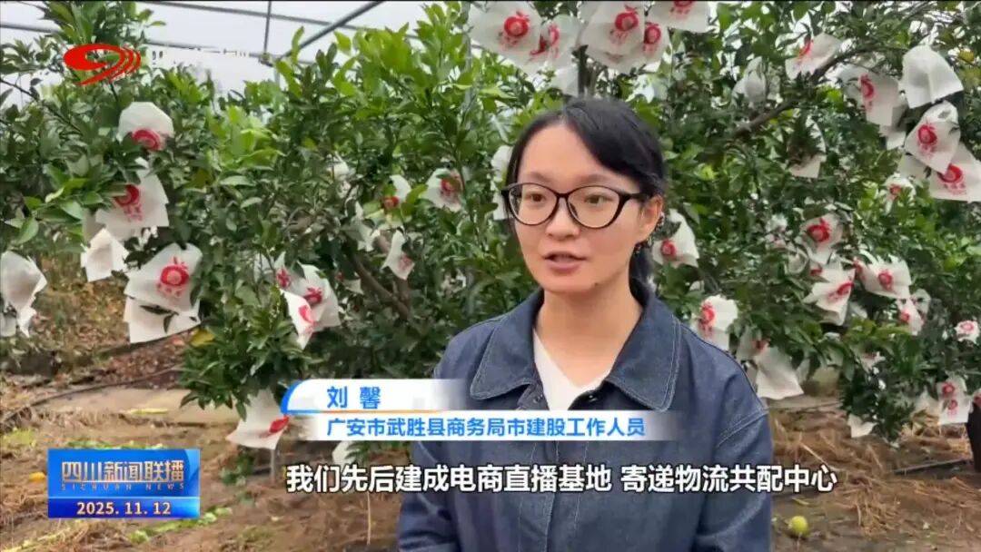 一线”看四川平台经济进阶路J9真人游戏第