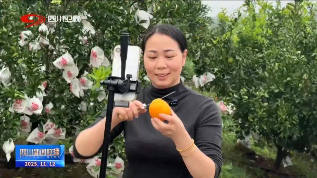 一线”看四川平台经济进阶路J9真人游戏第一品牌提振消费(图10)